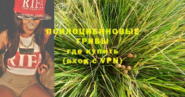 дурь Алексеевка