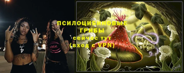 дурь Алексеевка
